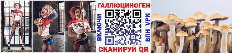 закладки Городец KRAKEN ссылка Псилоцибиновые грибы прущие грибы